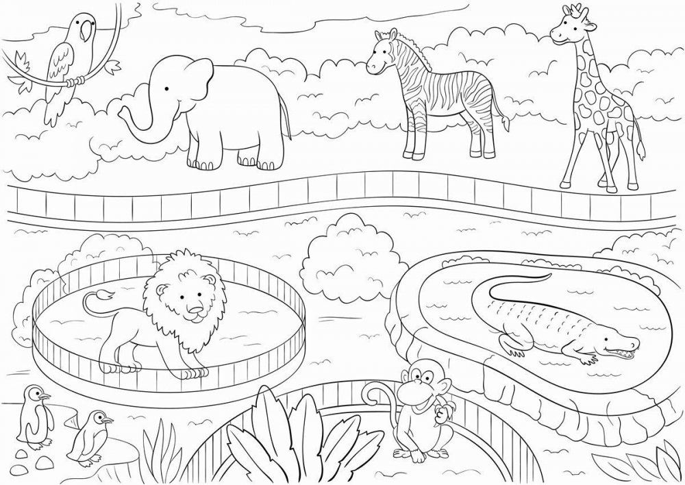 Зоопарк раскраска для детей