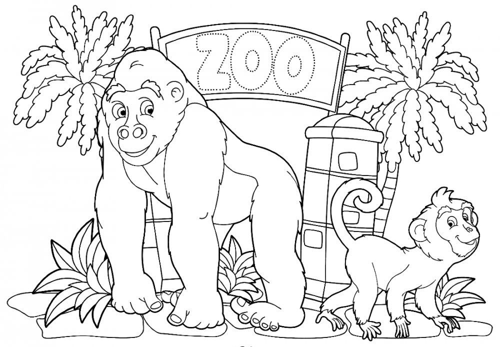 Раскраска зоопарк
