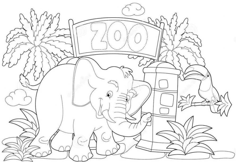Слон в зоопарке раскраска