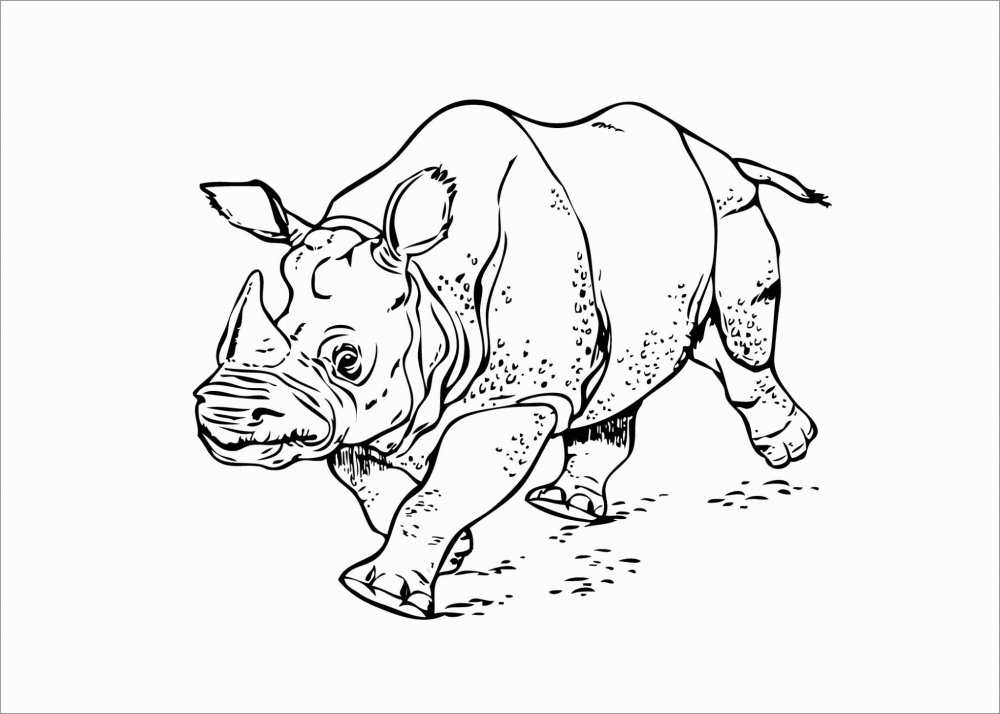 Трафарет носорога