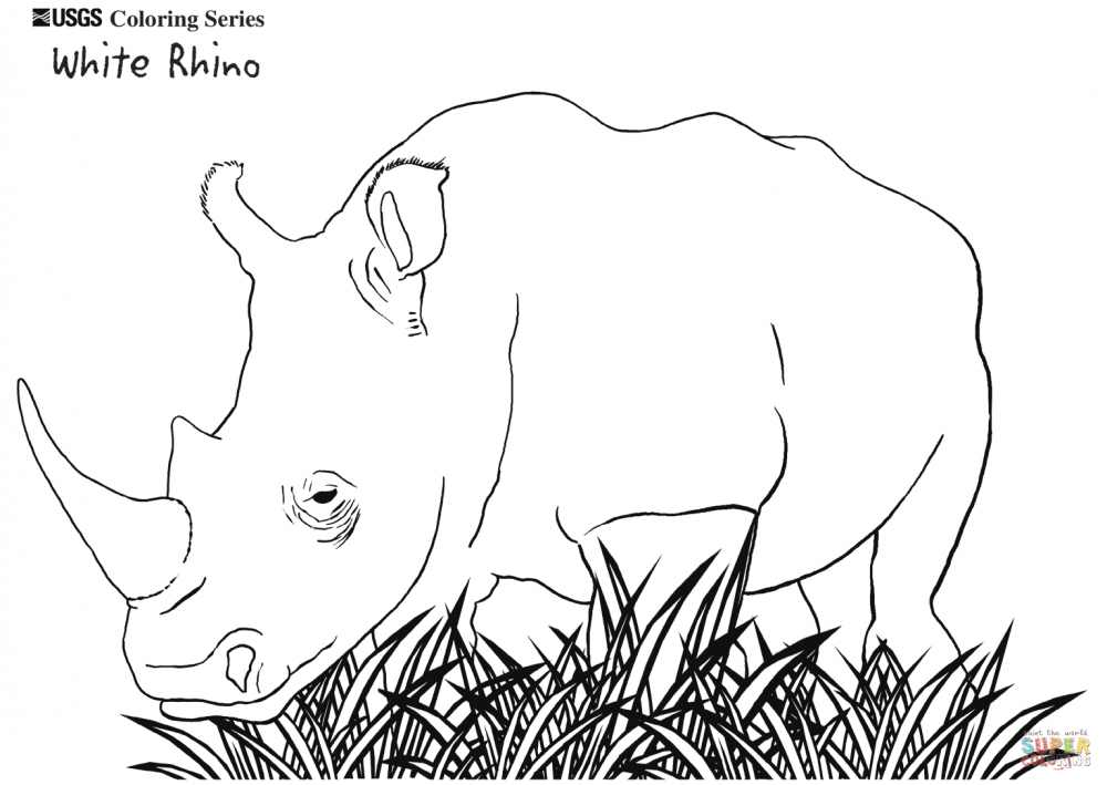 Раскраска носорог спит