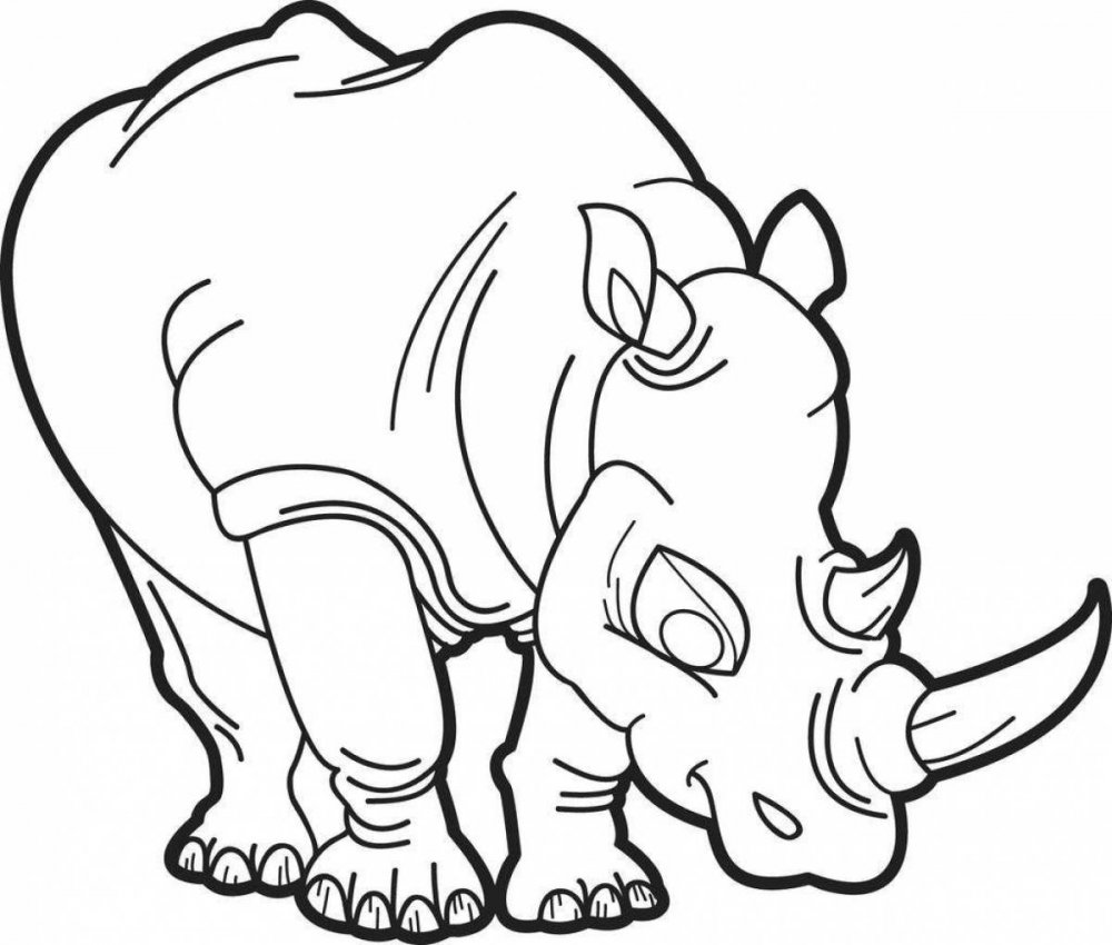Раскраска носорожек