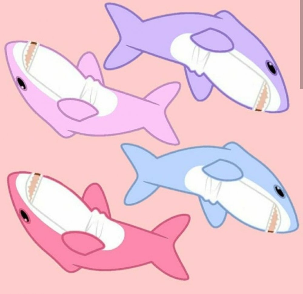 Контур акулы для рисования