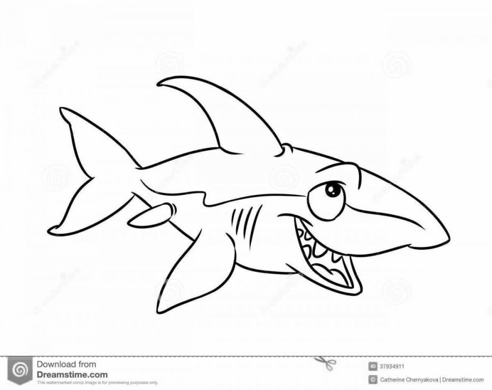 Акула раскраска для детей