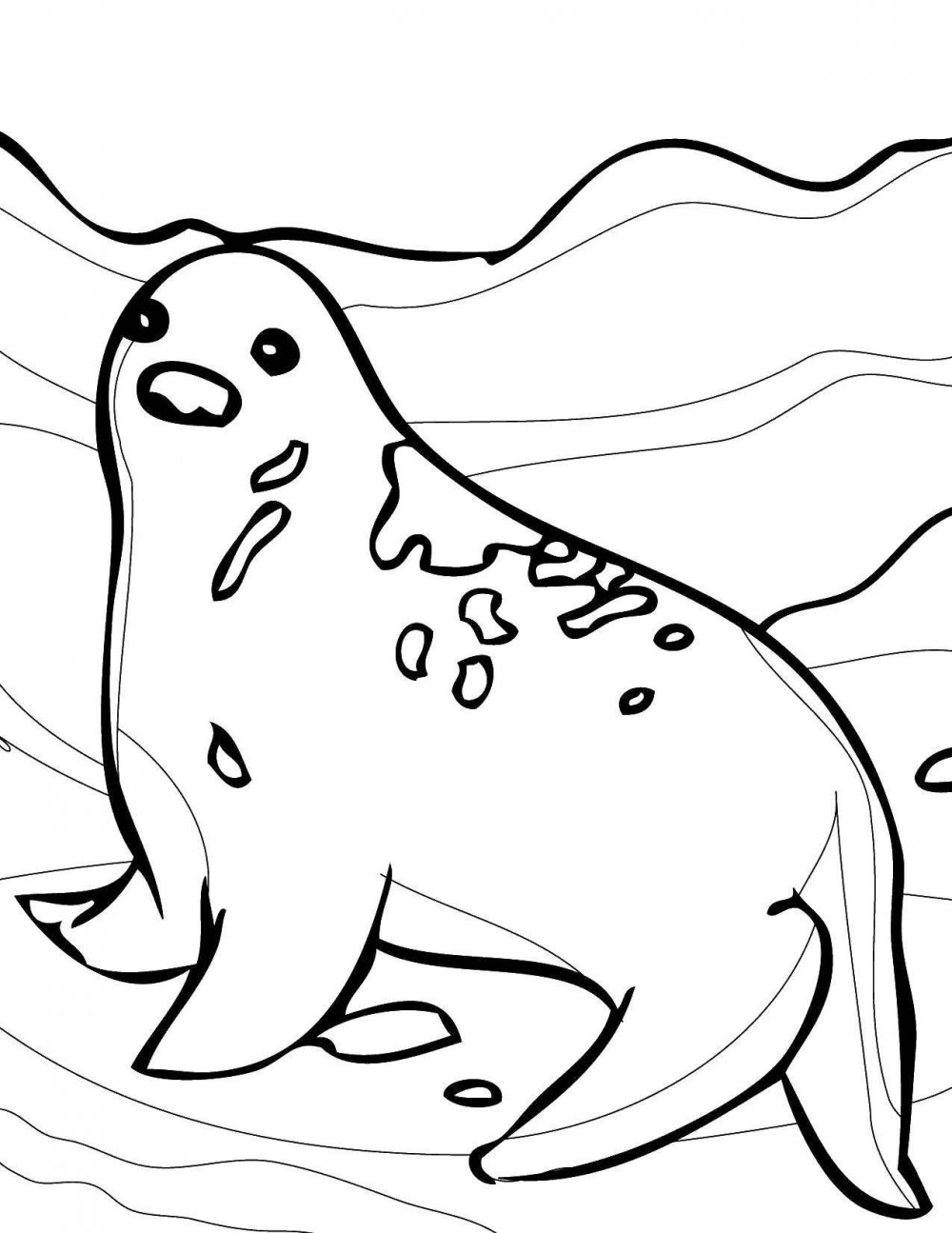 Тюлень морской котик морской Лев морской леопард