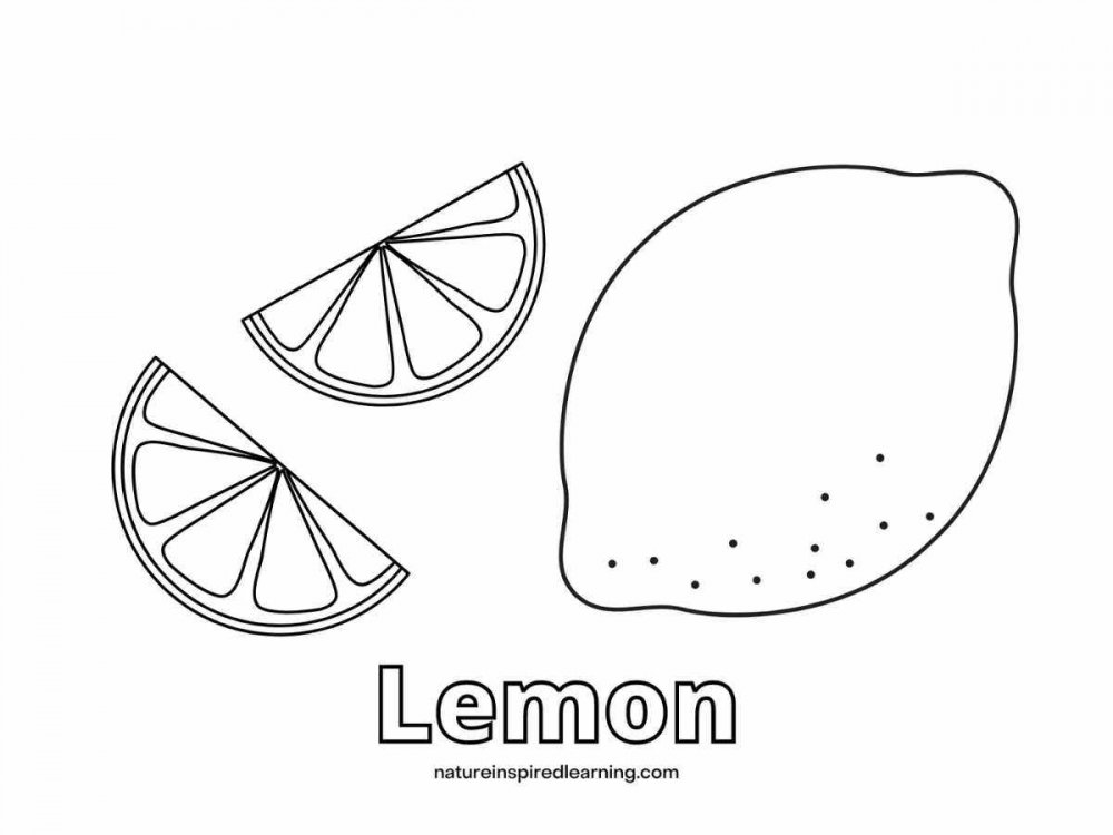 Лист лимона раскраска