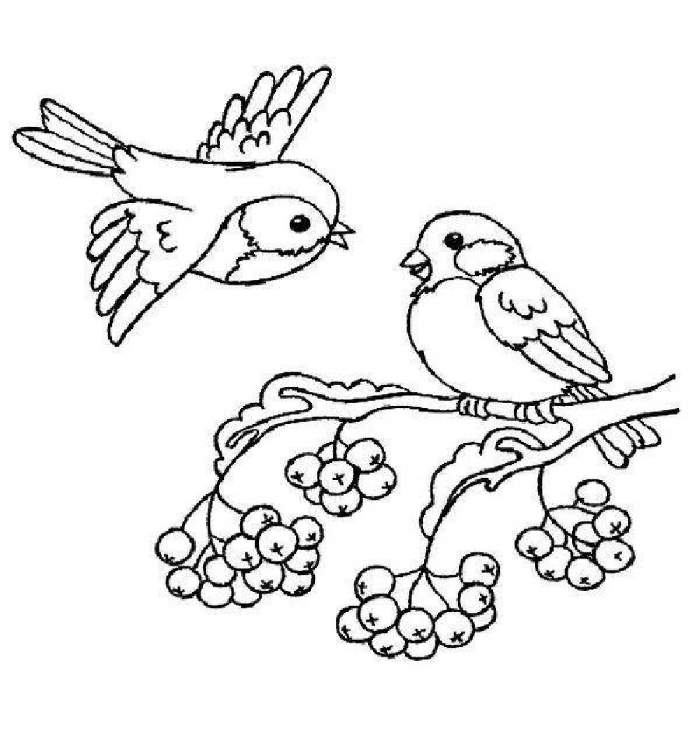 Рисование птицы на кормушке