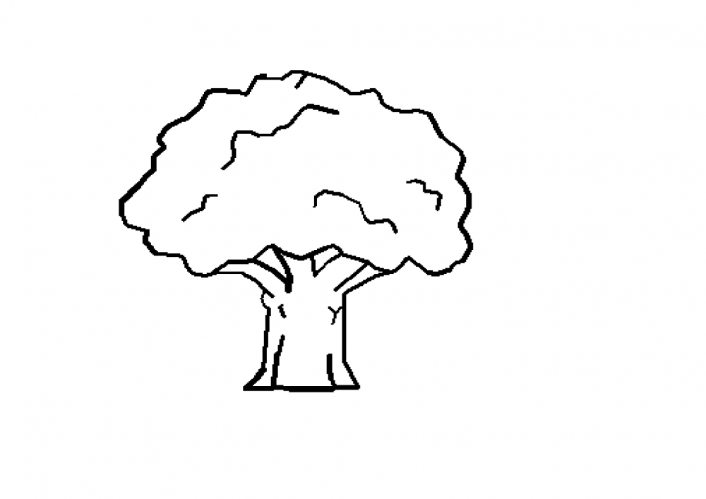 Дуб контур дерево вектор