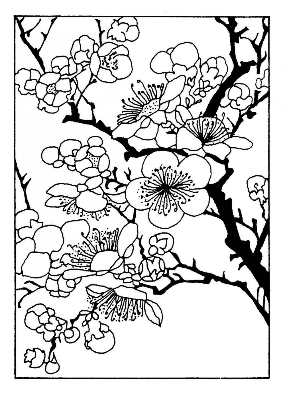 Цветы в японском стиле раскраска