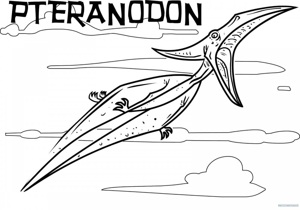 Птеранодон и птеродактиль