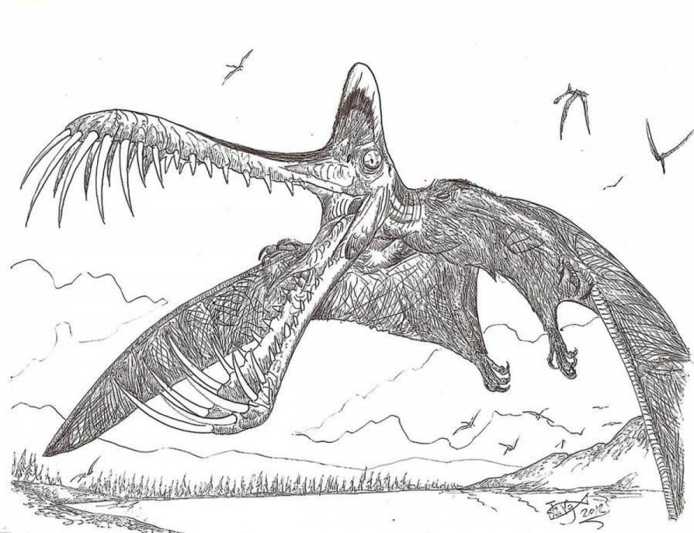 Раскраска динозавры птеродактиль