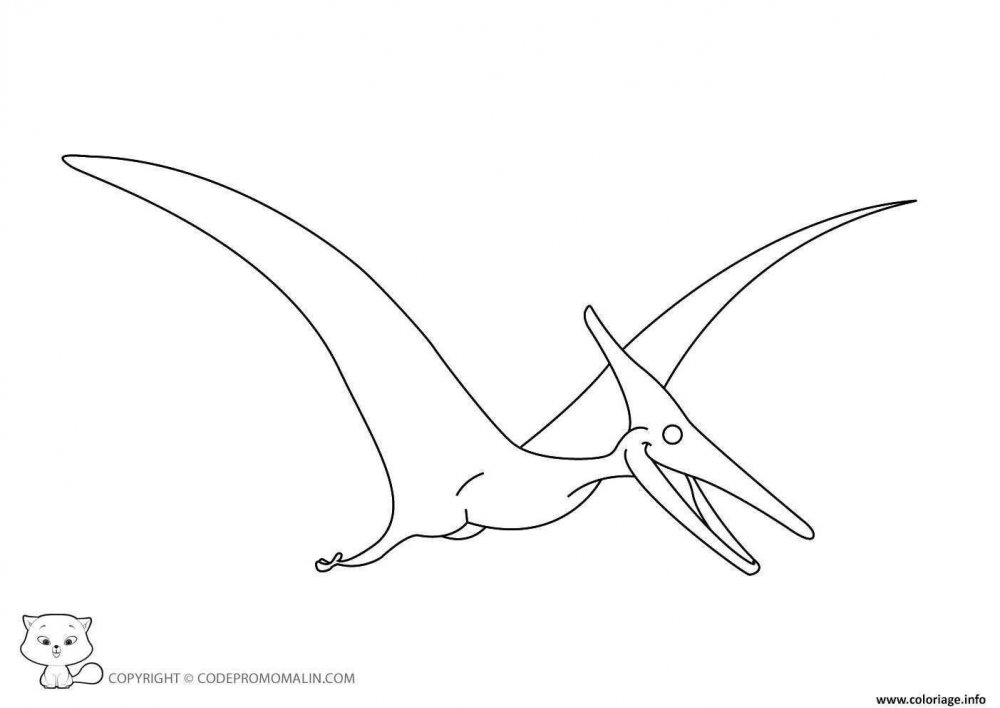 Раскраска динозавры птеродактиль