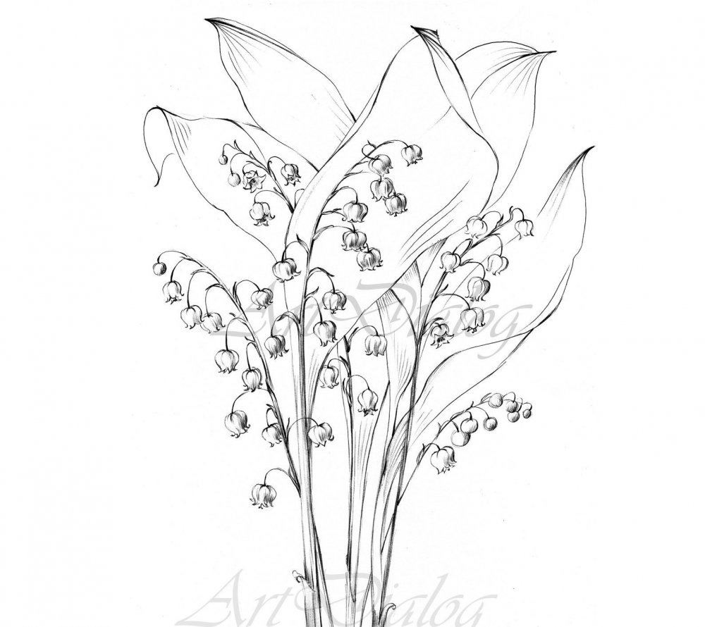 Раскраска Ландыш цветок