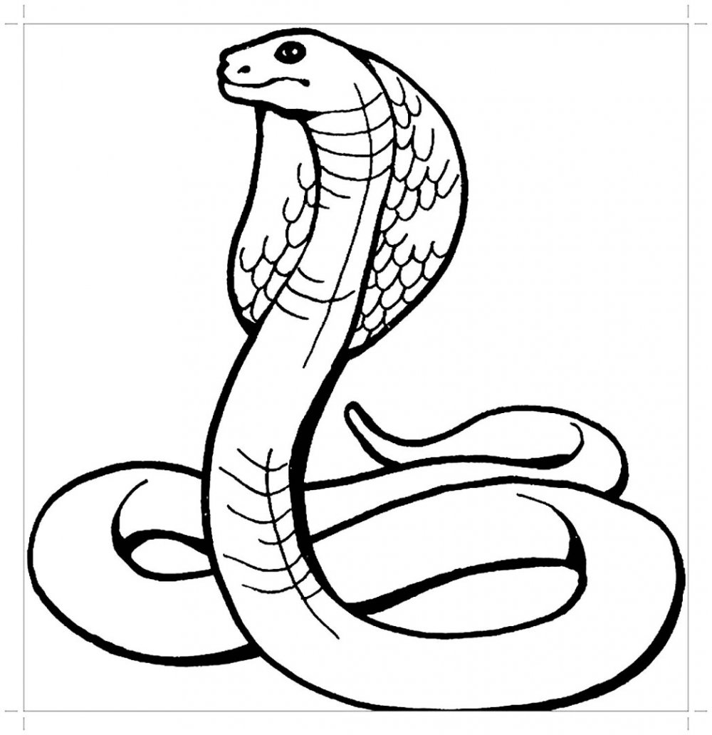 Змея питон раскраска