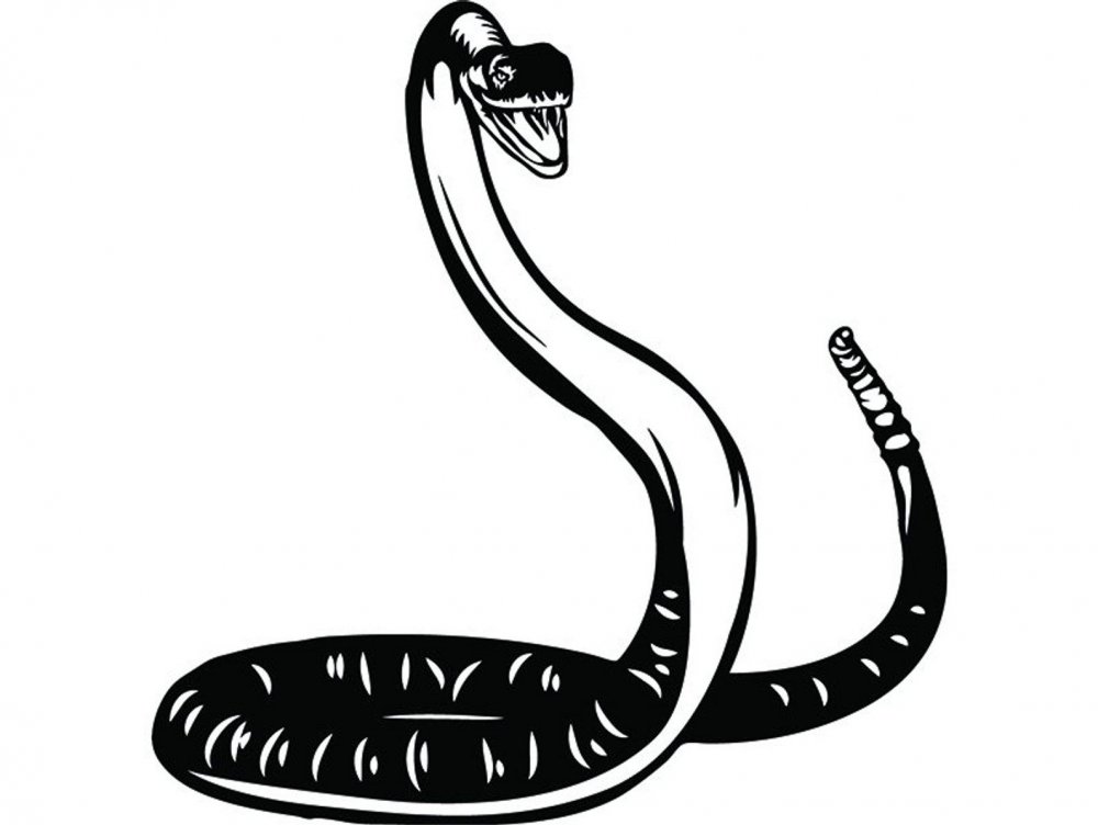 Змея закрученная спиралью