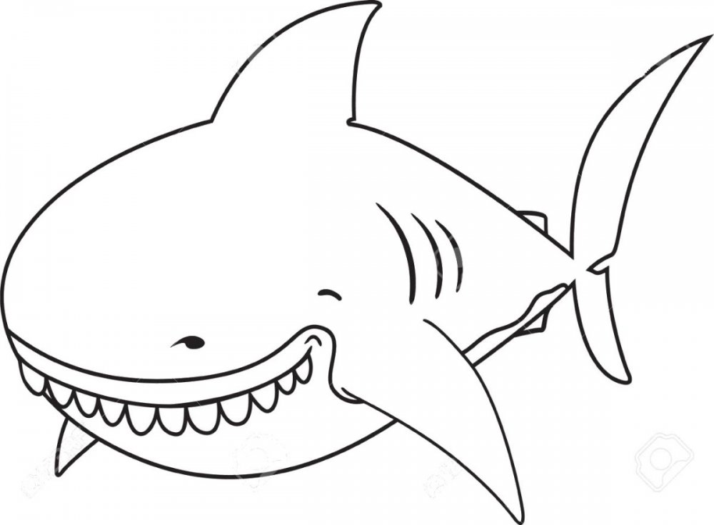 Раскраски акула для детей 6-7 лет