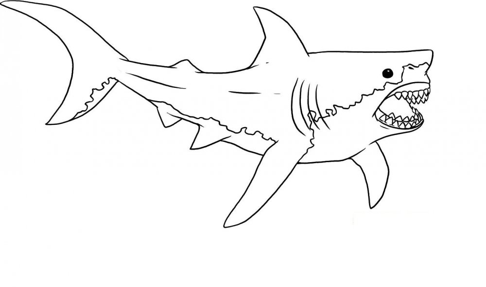 Раскраска акула МЕГАЛОДОН нападение на корабль