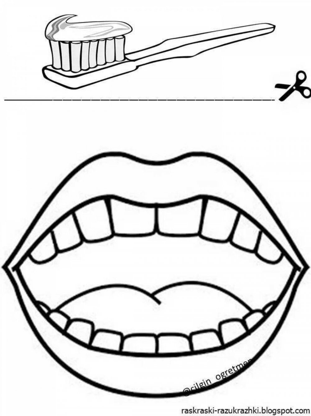 Зарисовка зуба