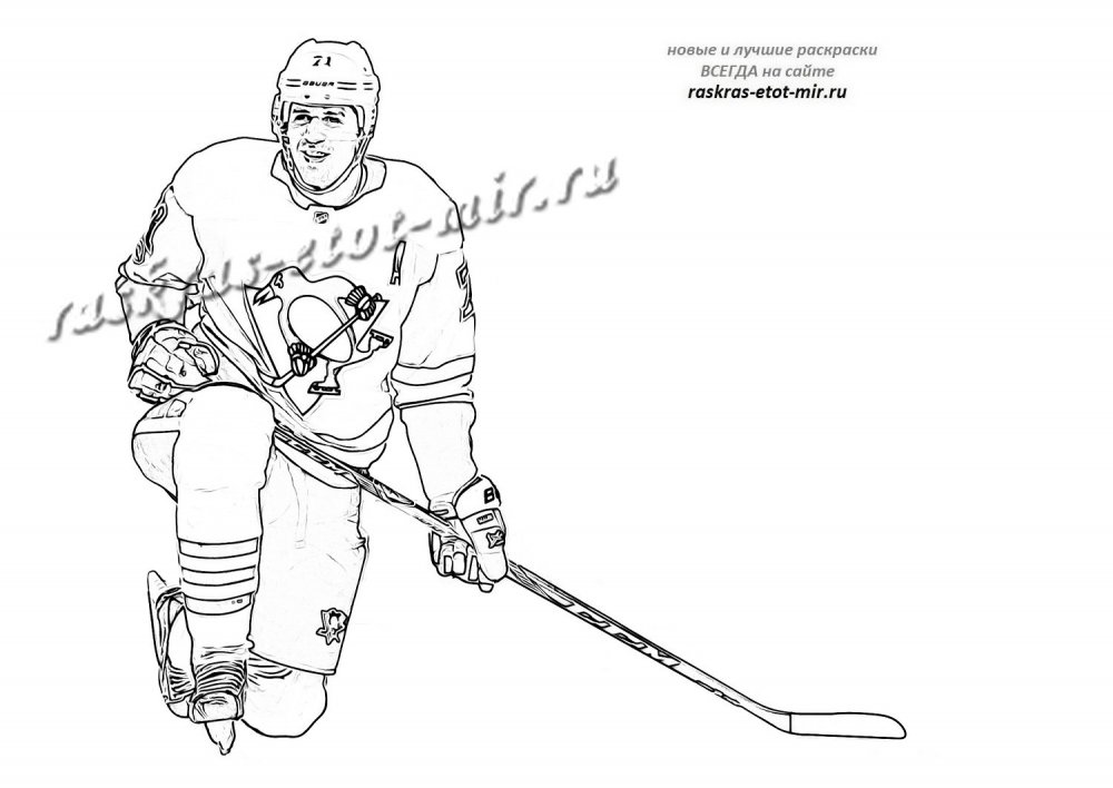 Медведь хоккеист рисунок