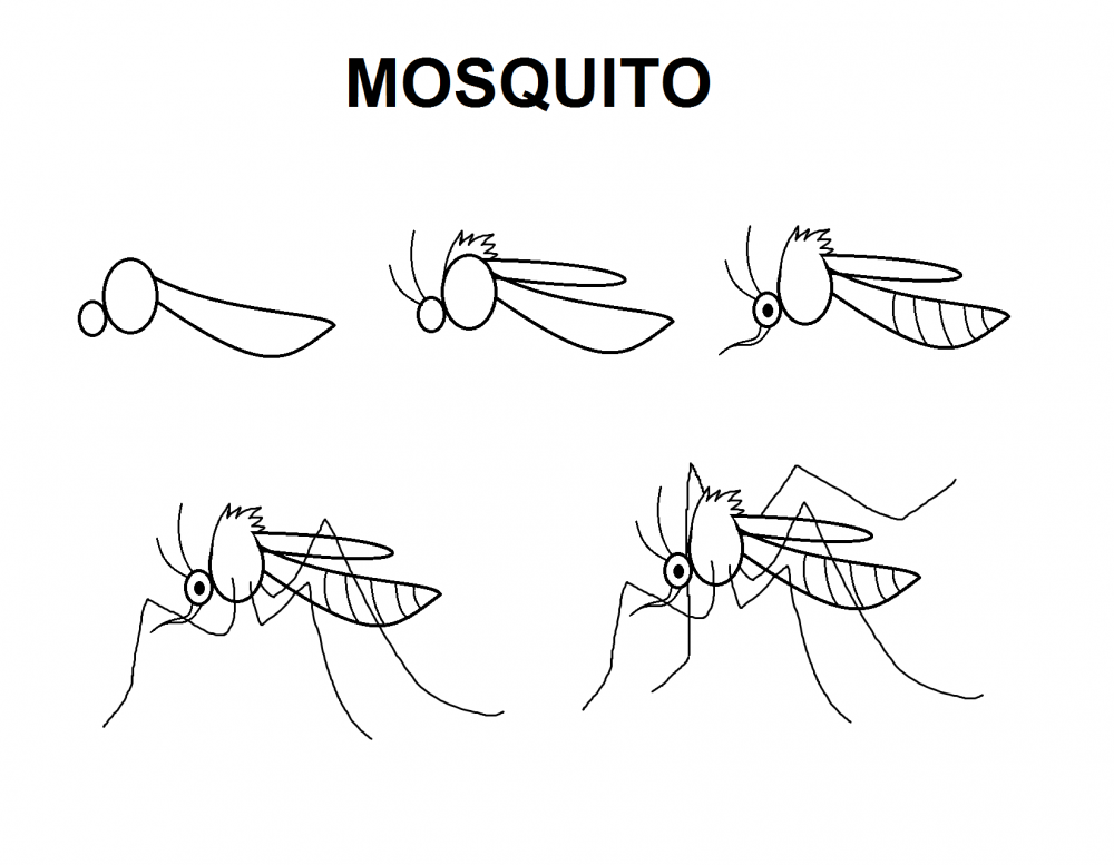 Черный комар на белом фоне