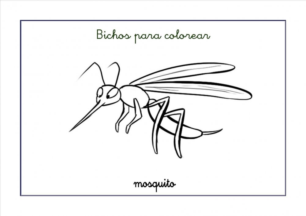 Раскраска комар для детей 4-5 лет
