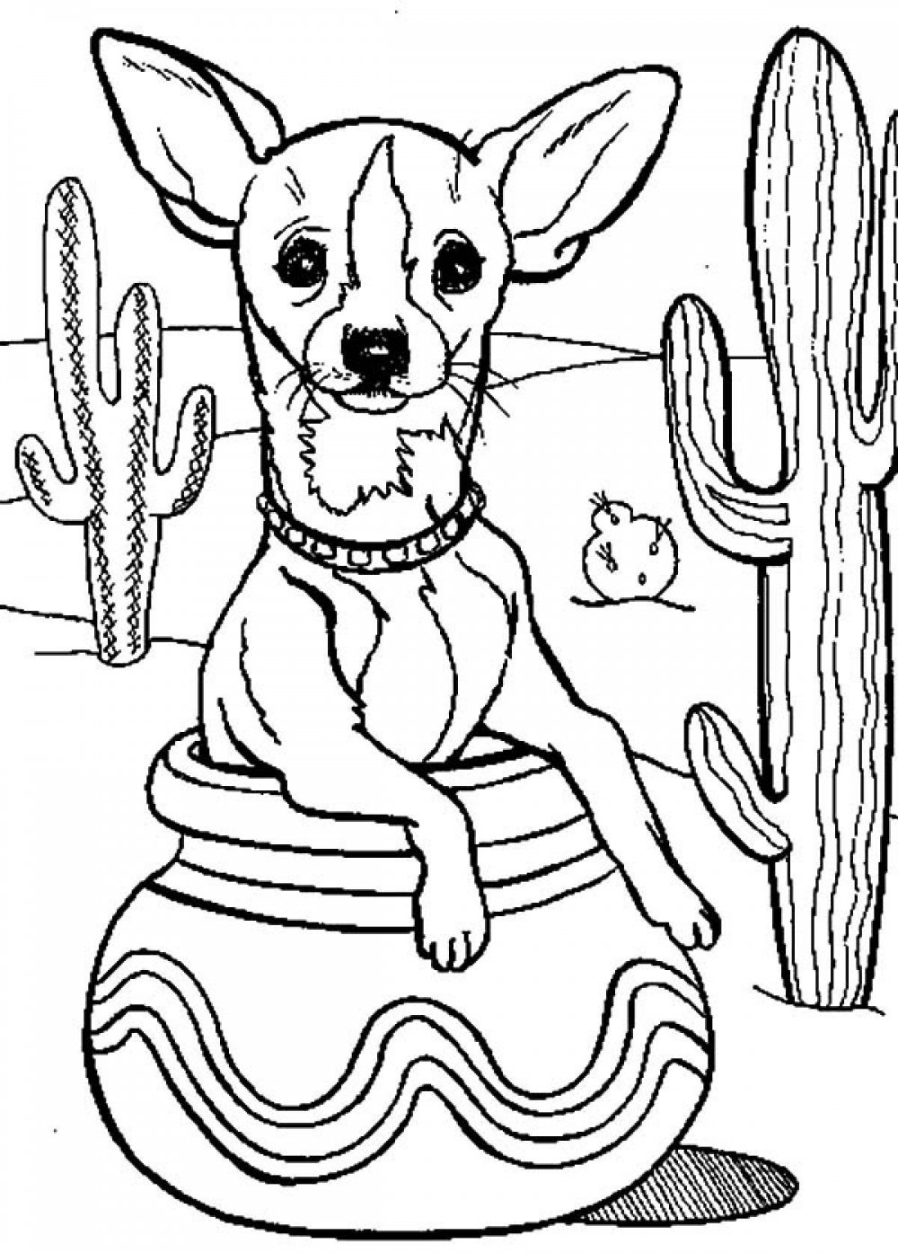 Раскраски собаки чихуахуа