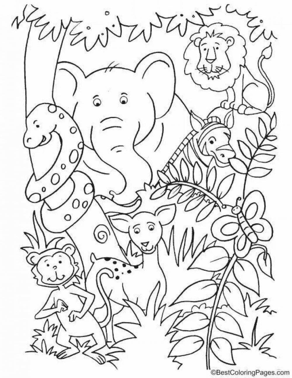 Животные джунглей раскраска