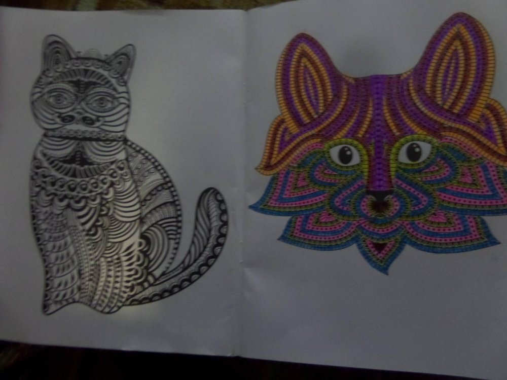 Творческая раскраска замурчательных котиков