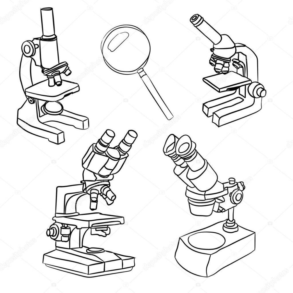 Микроскоп рисунок для срисовки