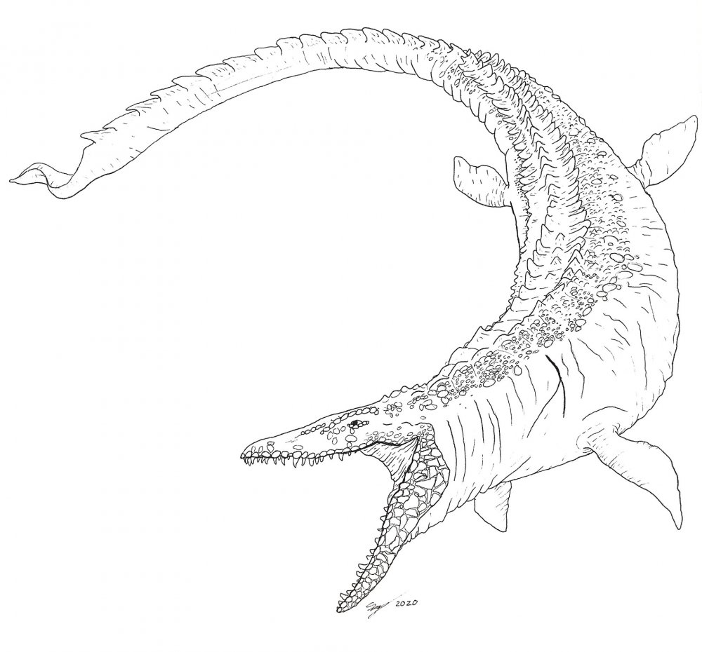 Динозавр Лиоплевродон раскраска