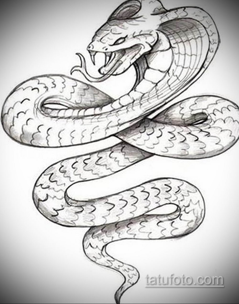 Рисунки змей для тату