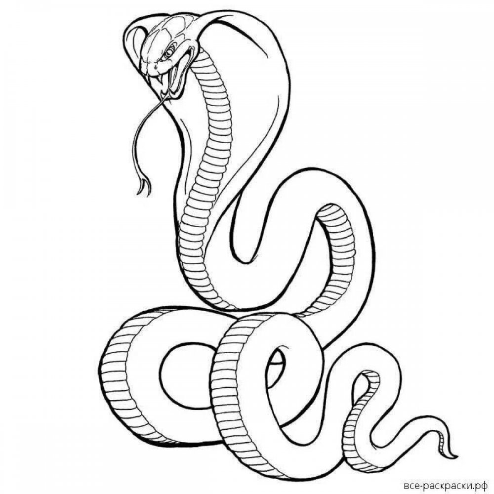 Раскраска змея гадюка