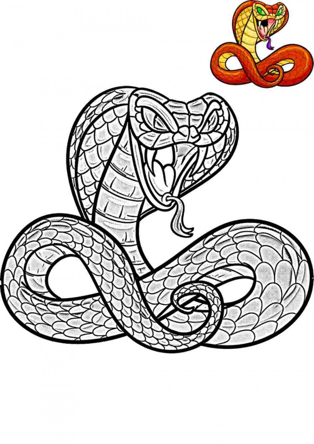 Раскраска змея Кобра