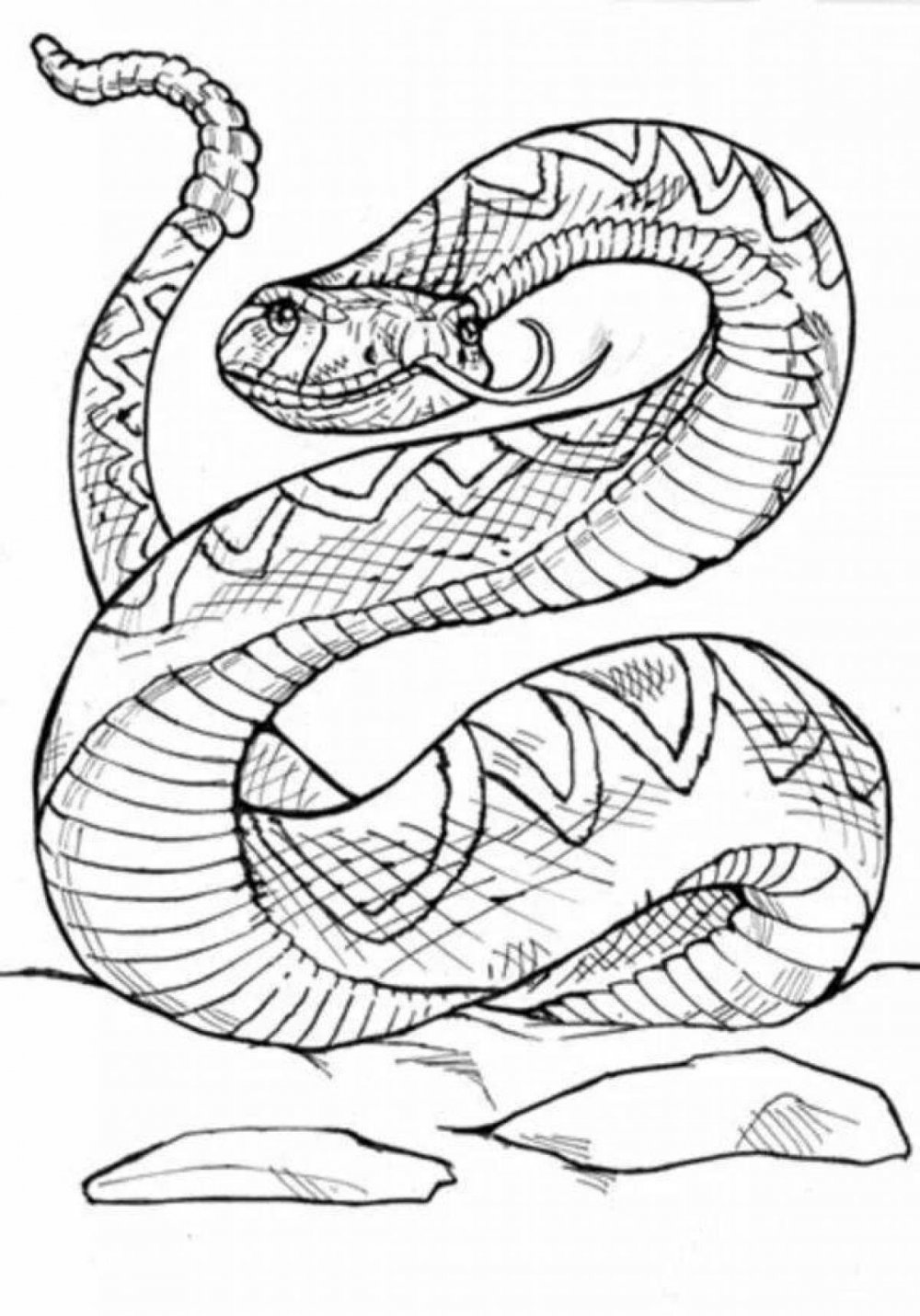 Шаблон змеи для рисования