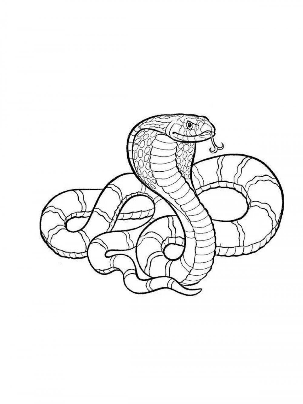 Раскраска змея Королевская Кобра