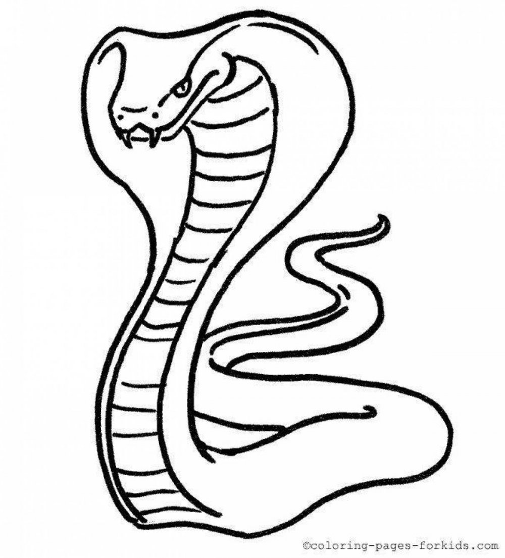 Раскраски антистресс змеи