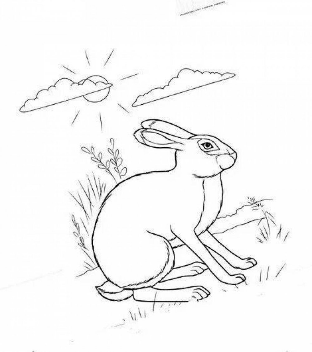 Заяц Листопадничек рисунок