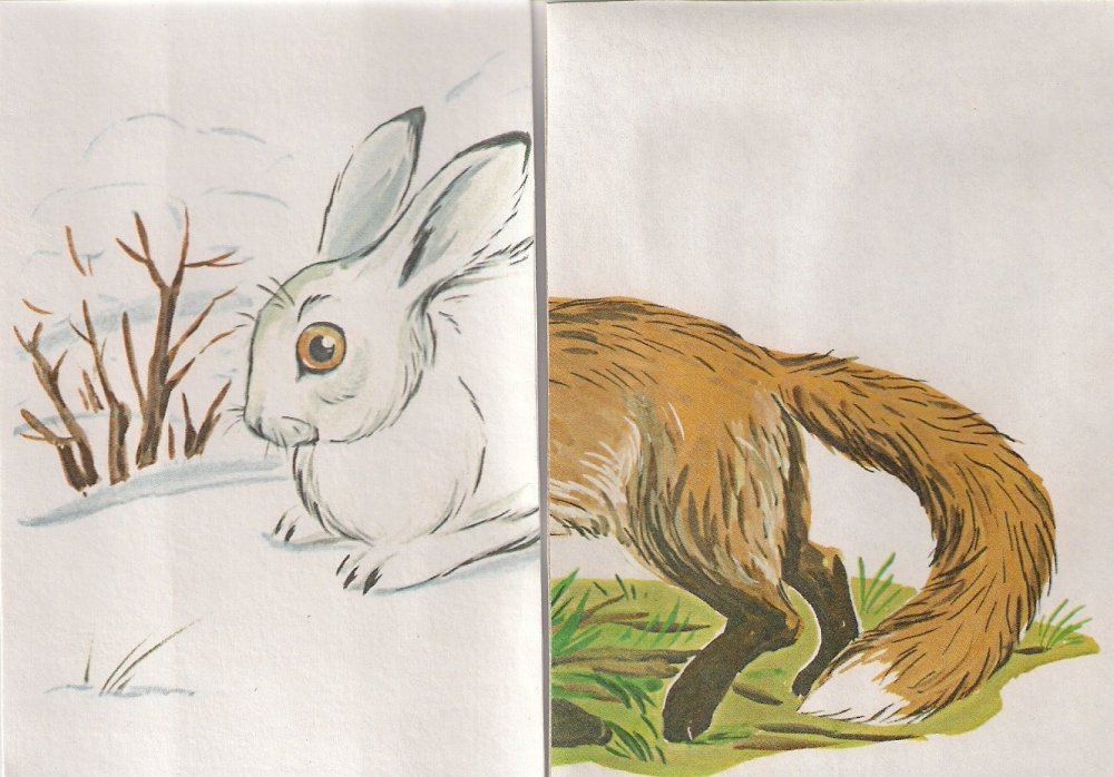 Зимний кролик раскраска