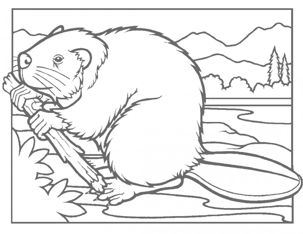 Иллюстрацию к сказке лестопад