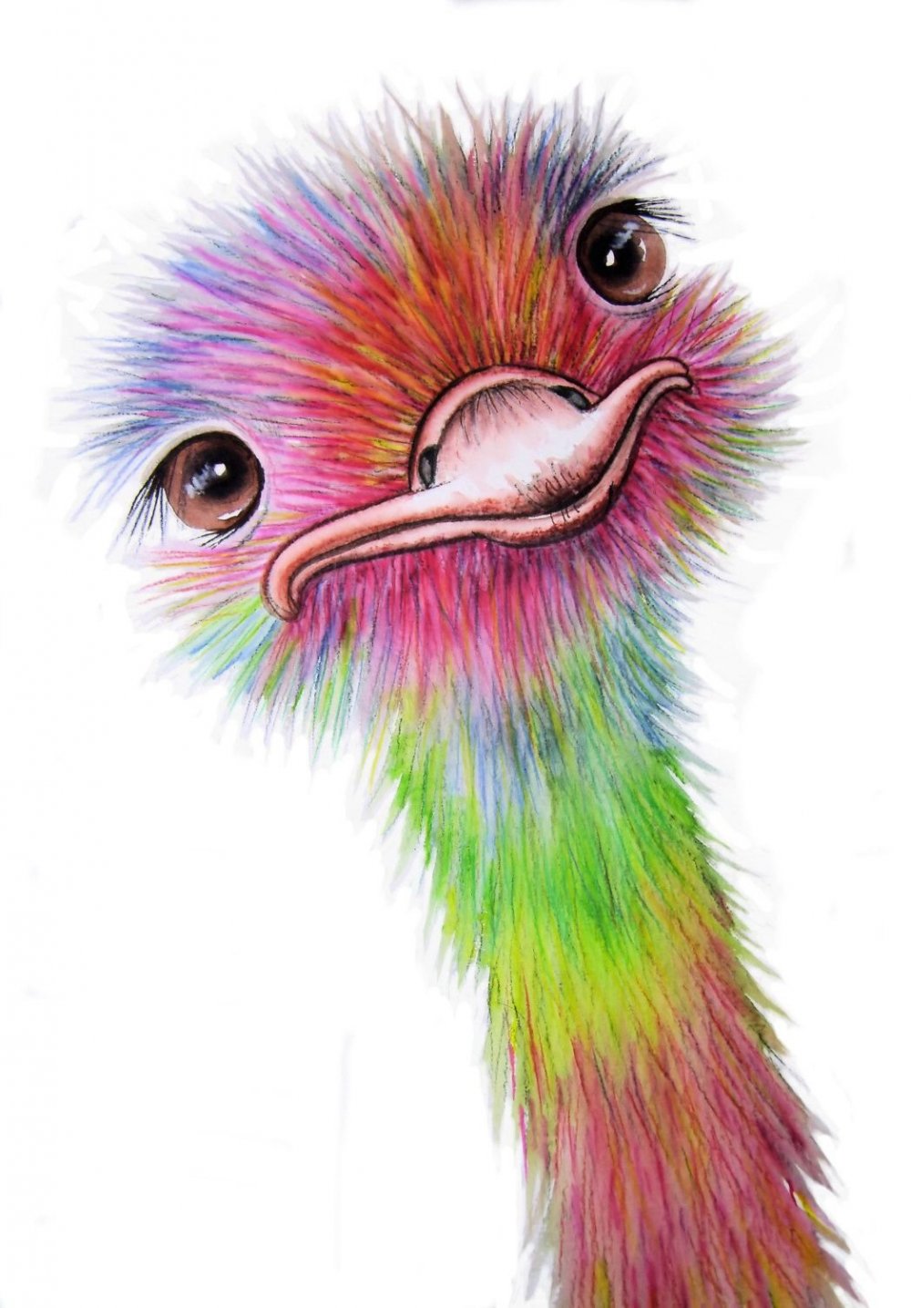 Африканский страус раскраска