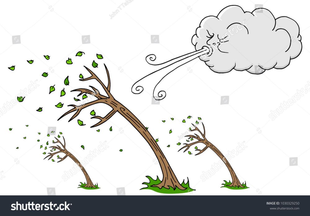 Ветер дует на дерево