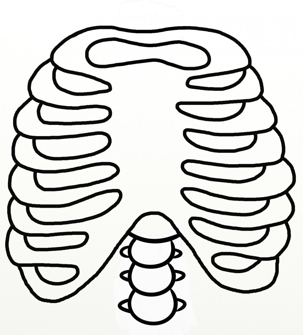 Кости скелета человека для костюма Кощея