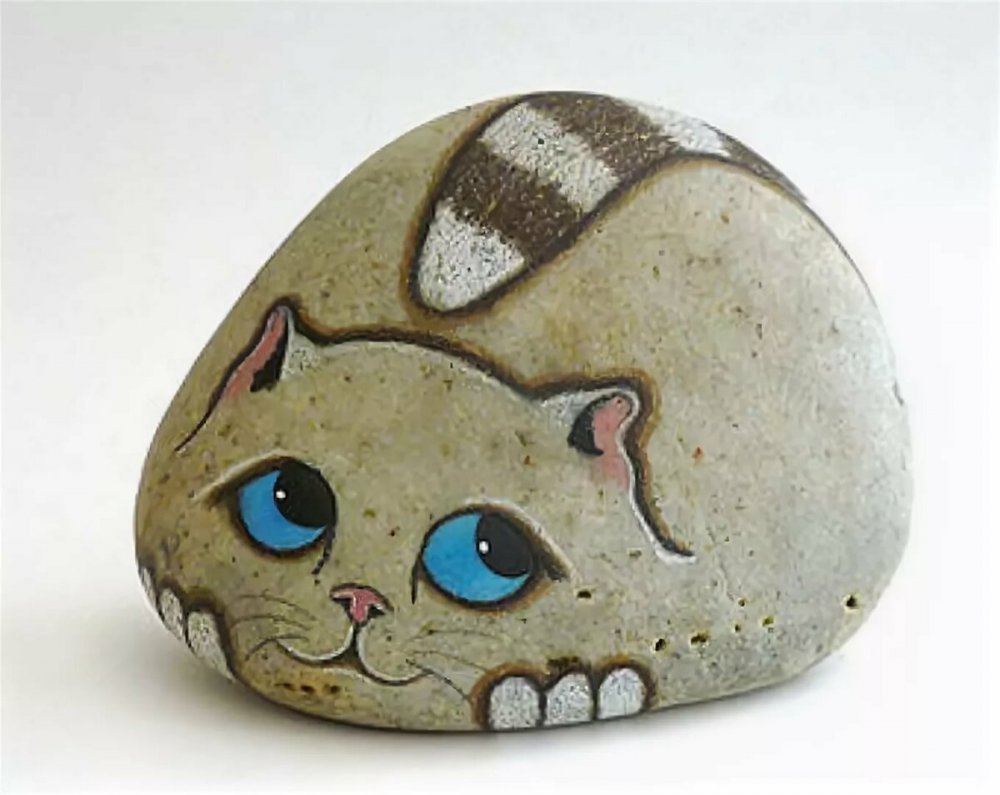Котики на камнях