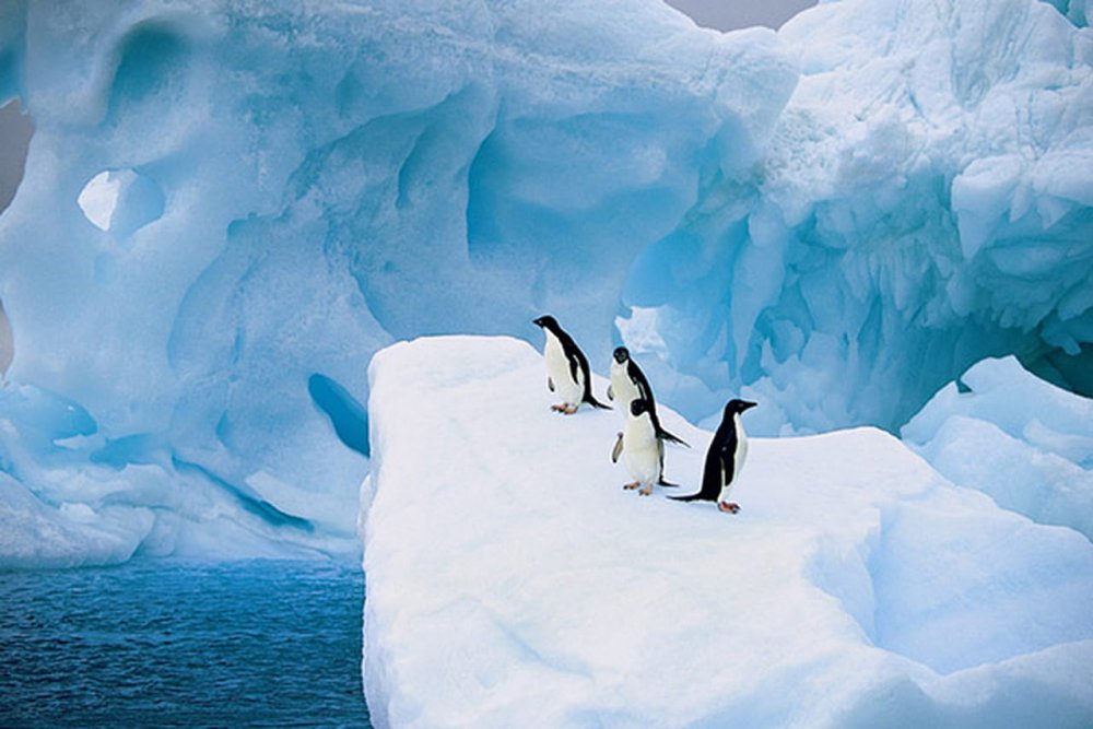 Антарктида ледяной Континент