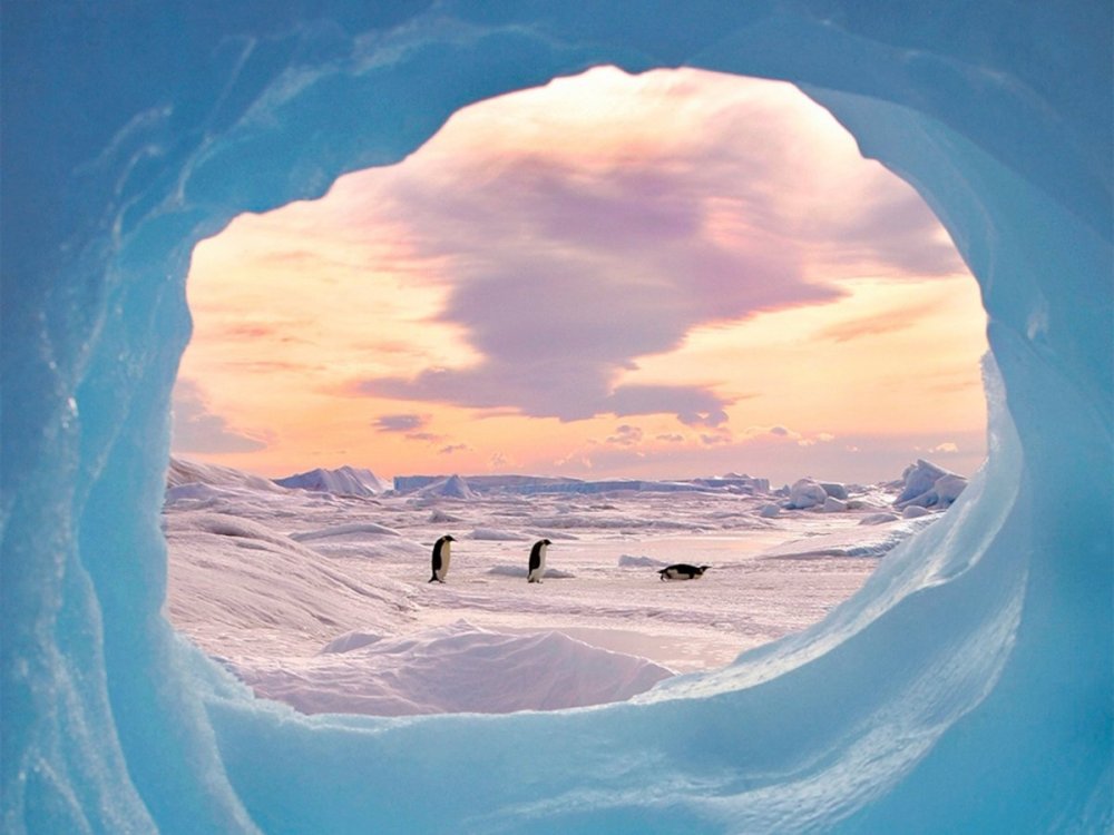 Лето в Антарктиде