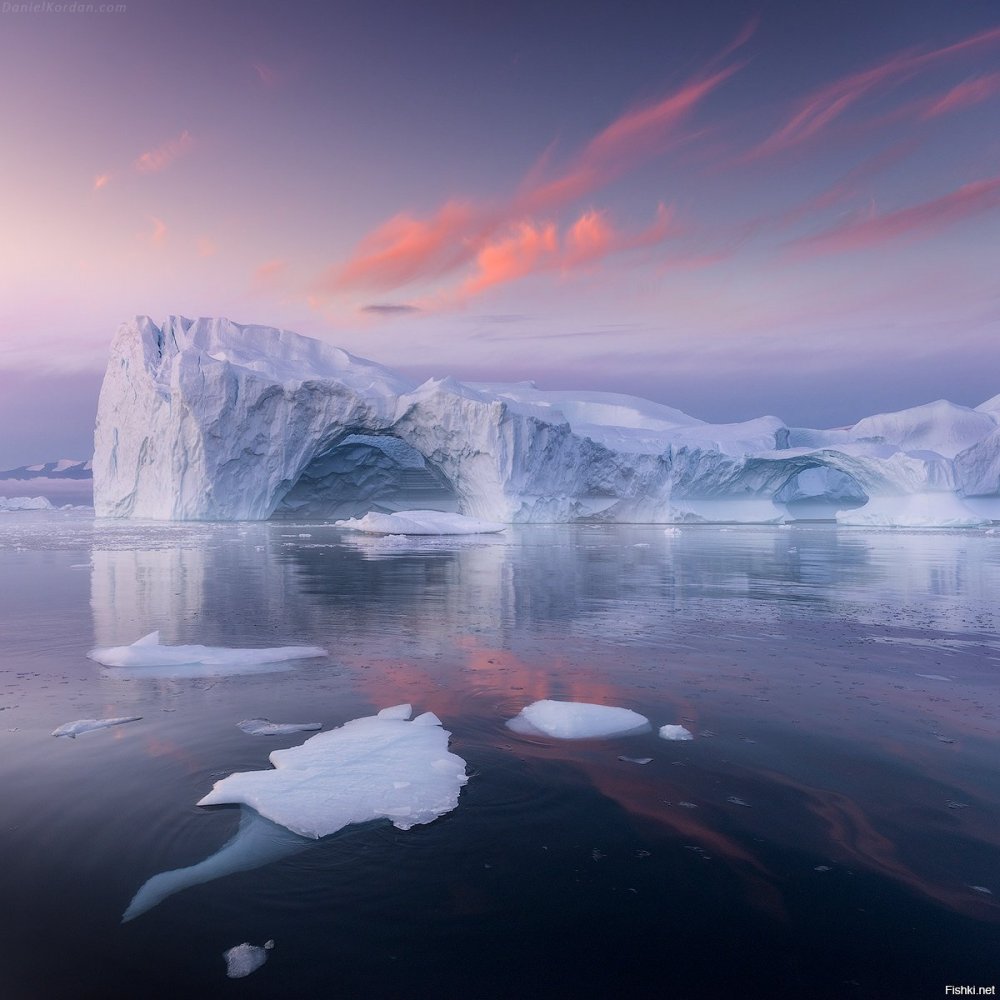 Ледники Антарктиды пингвины