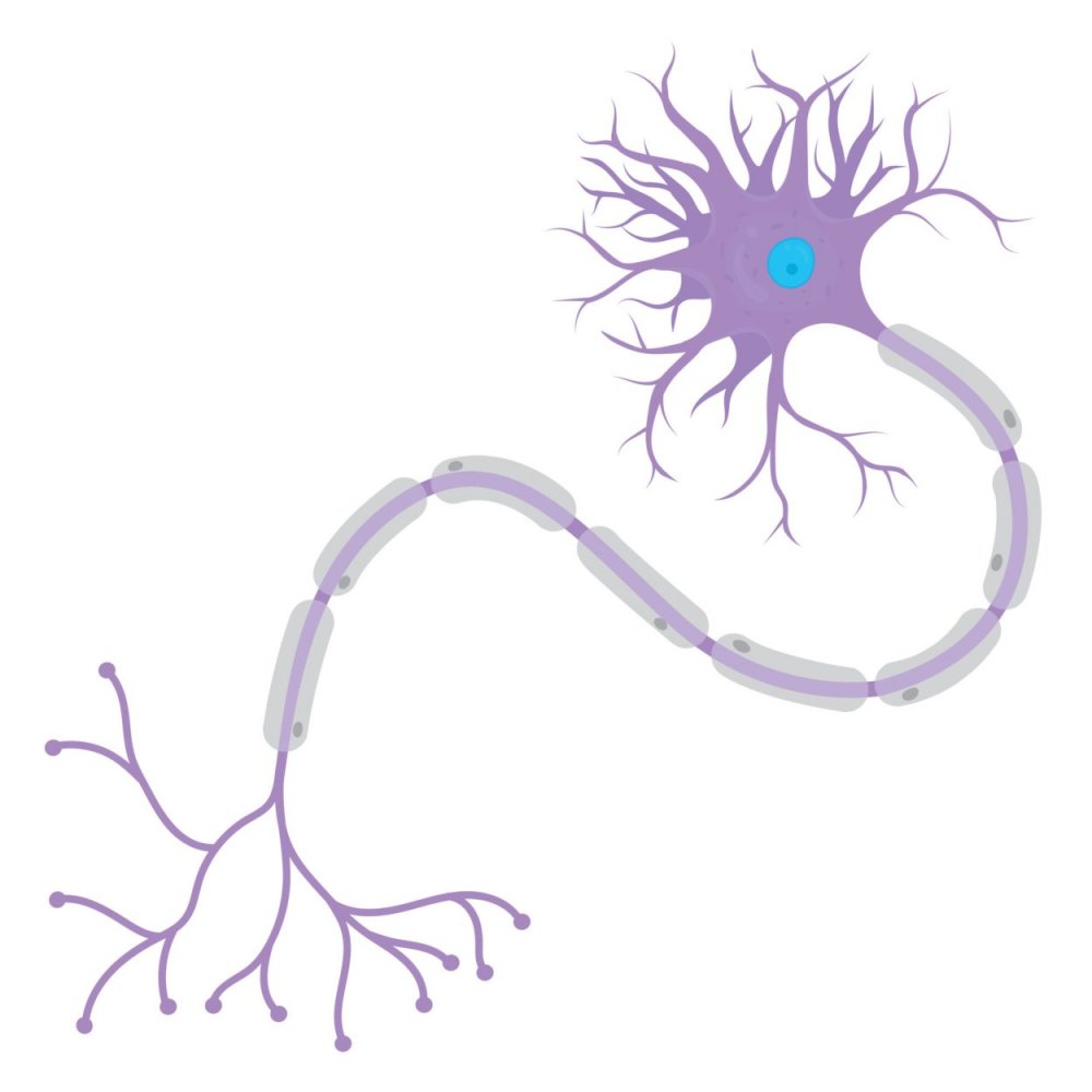 Мультяшные рисунки нервных клеток