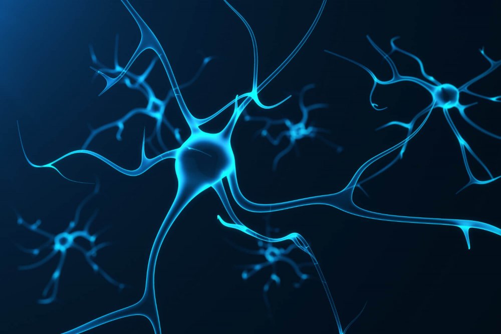 Синапс искусственного нейрона