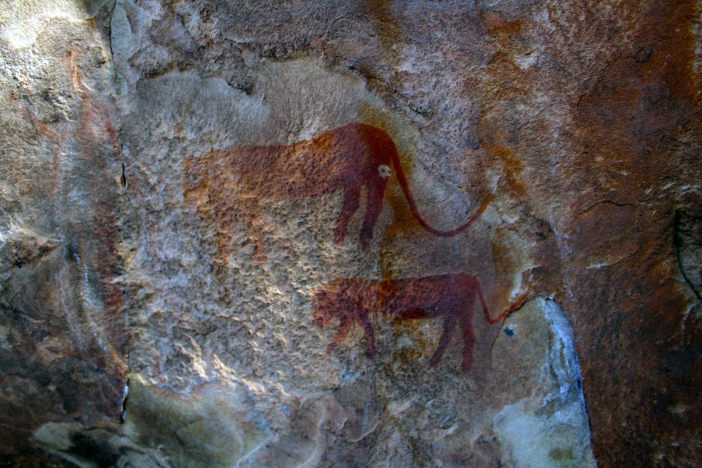Наскальные изображения бронзового века