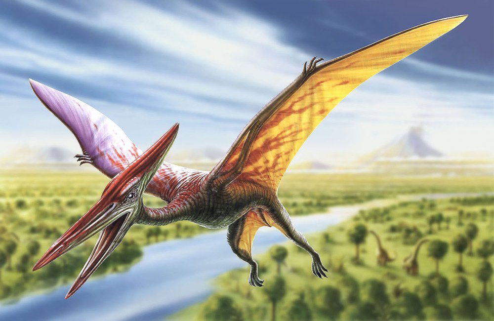 Динозавры летающие Птеранодон